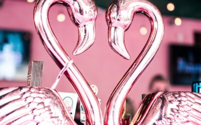 Why Flamingo Deck Stands Out Among PB Bars