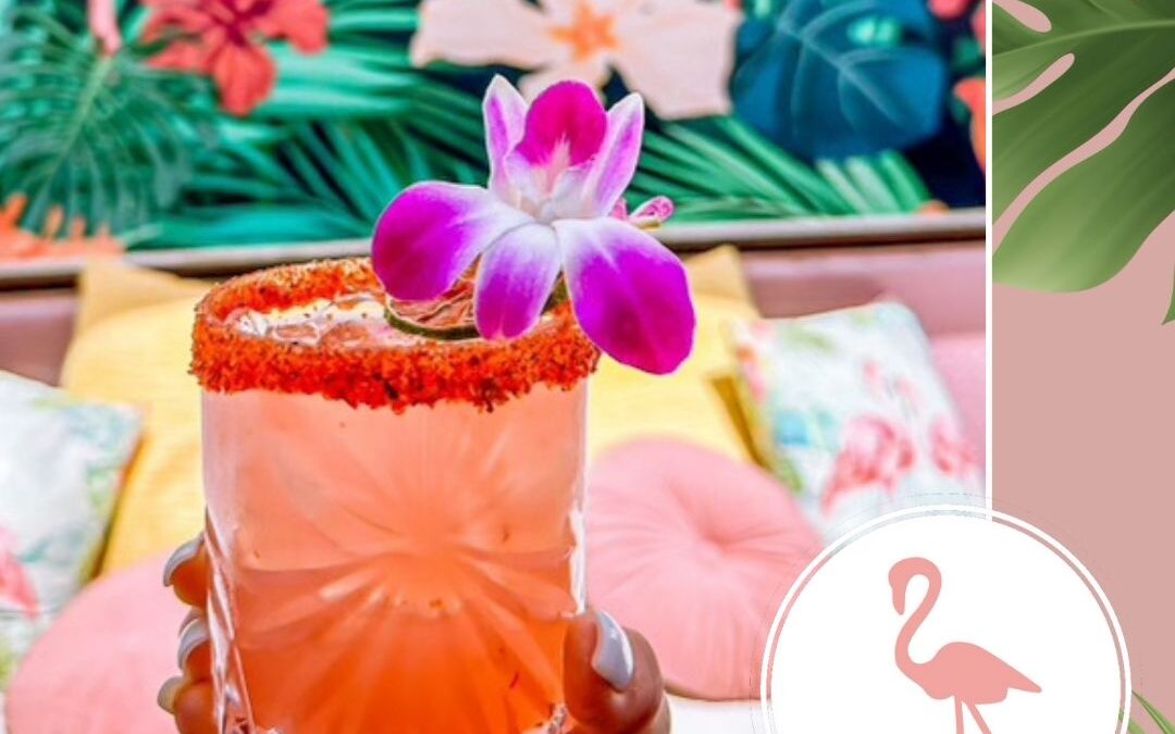 The Best Monday Happy Hour in Pacific Beach