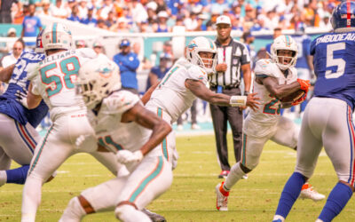 Dolphin Days at Flamingo Deck: Your Go-To PB NFL Spot